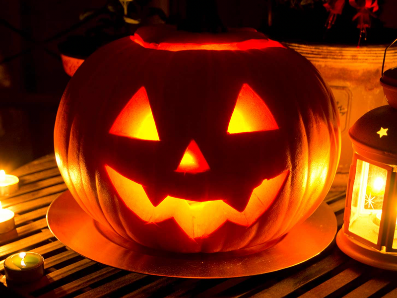 Olde Oaks Happy Halloween ! Trick-Or-Treat